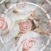 Abstract Roses by joysfocus