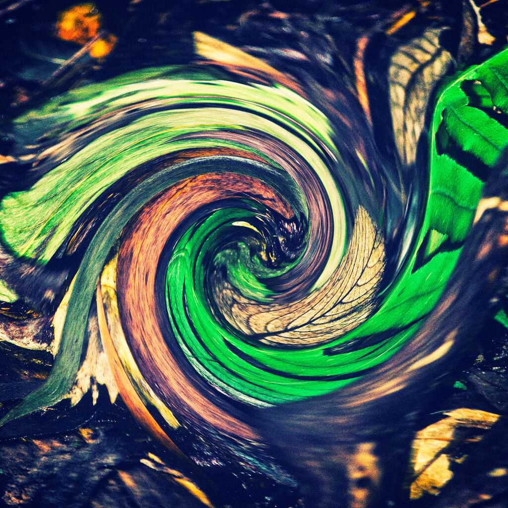 Abstract 19 -Twirl by annied