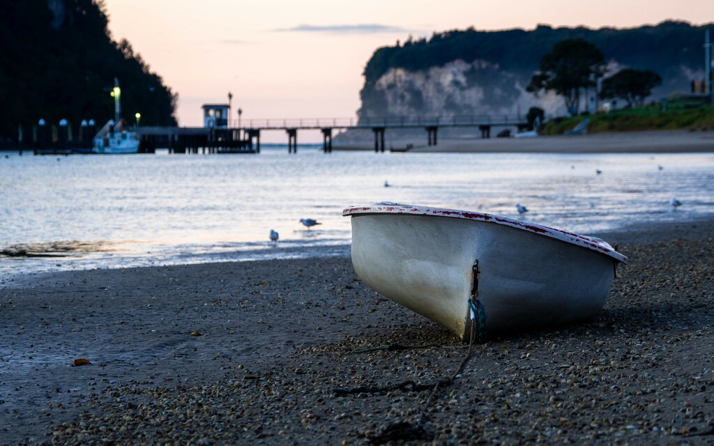 Ready to row by christinav