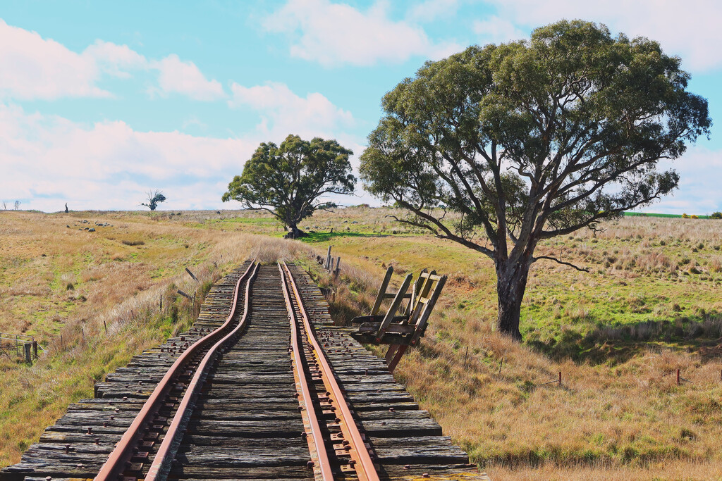 The top of Tarengo railway bridge by leggzy