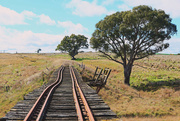 19th Aug 2024 - The top of Tarengo railway bridge