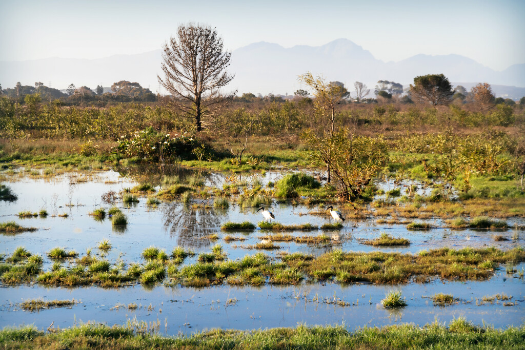 Water everywhere by ludwigsdiana