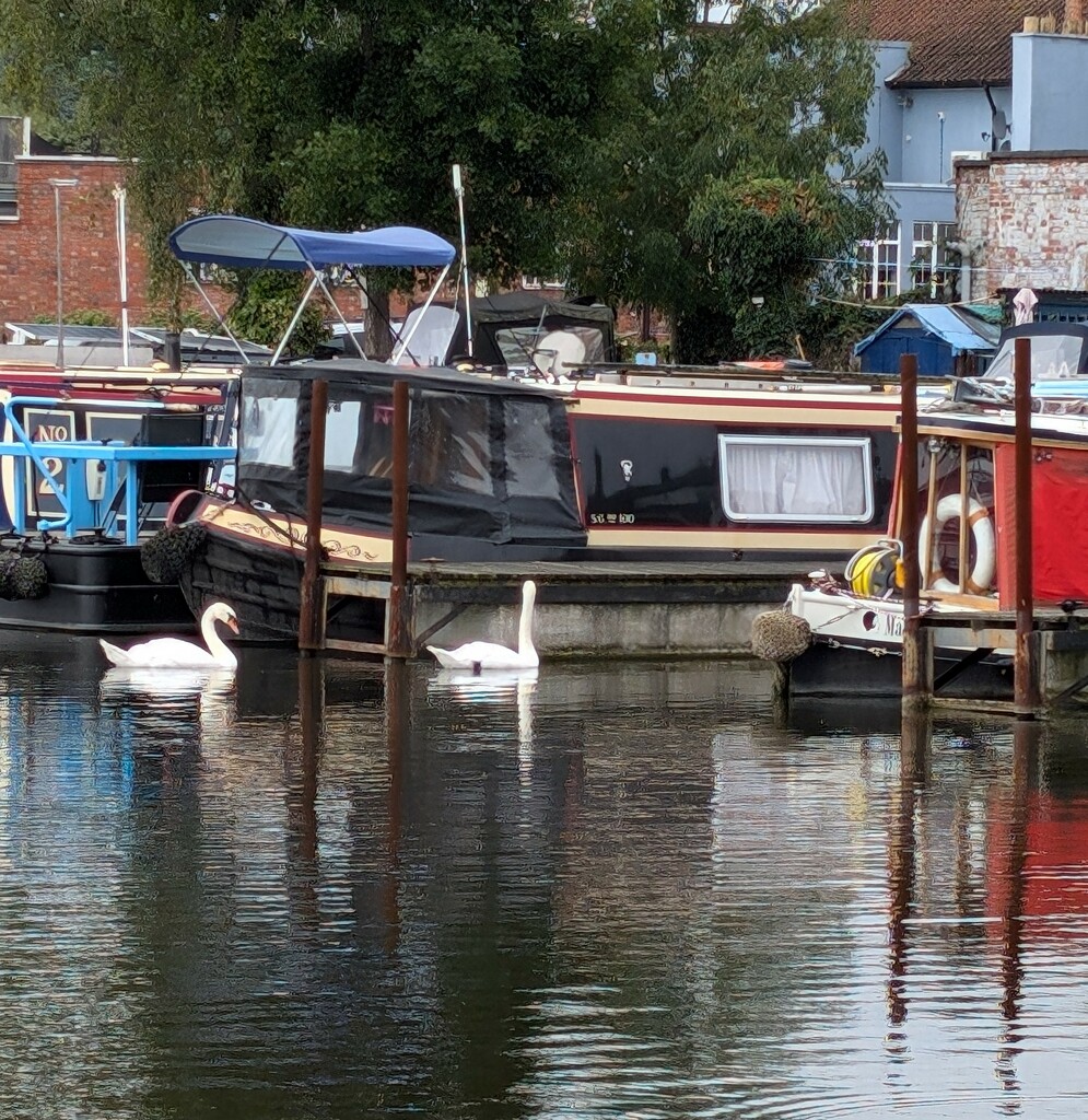 STOURPORT BASIN. by derekskinner