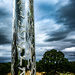 Arty glass spike by nigelrogers