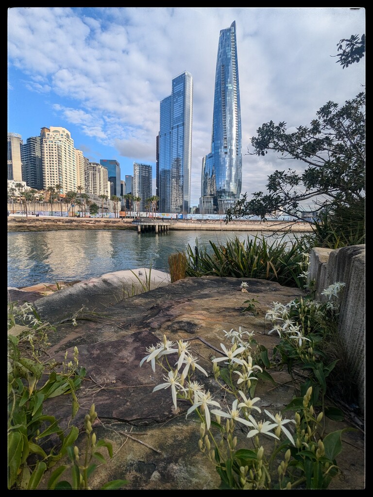 Barangaroo  by elf