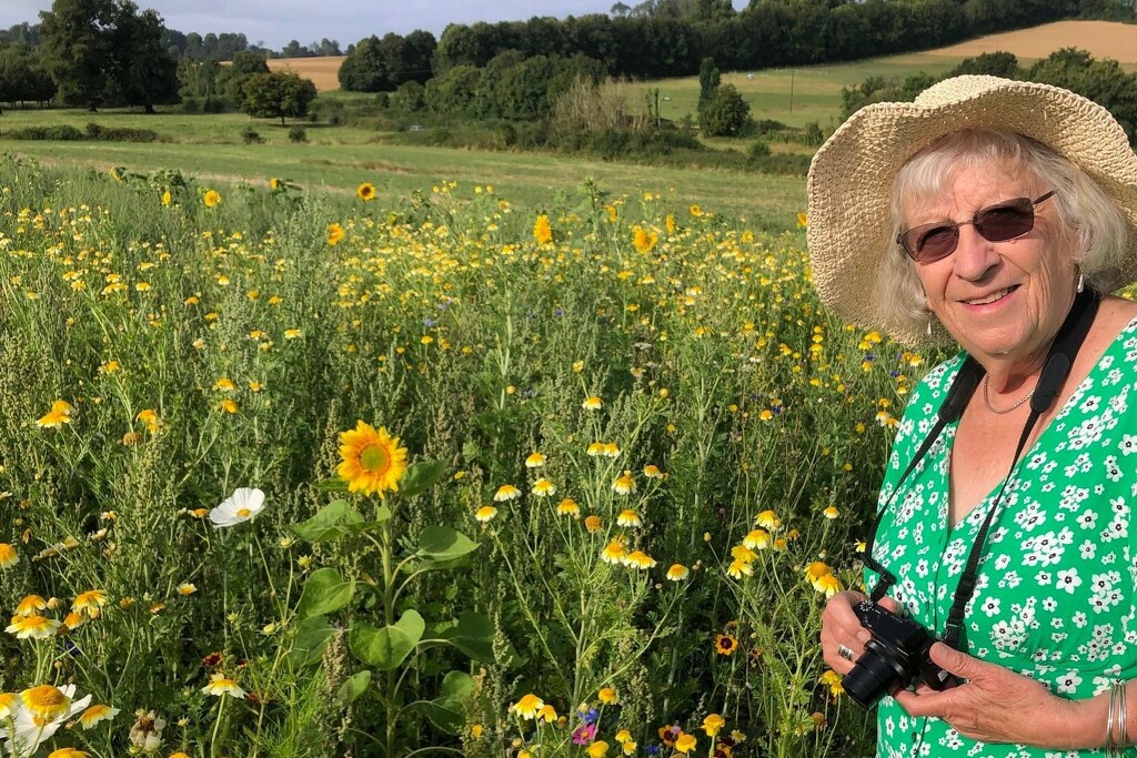 in the wildflower meadow... by quietpurplehaze