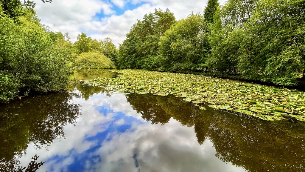 Reflecting Sky by carole_sandford