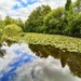 Reflecting Sky by carole_sandford