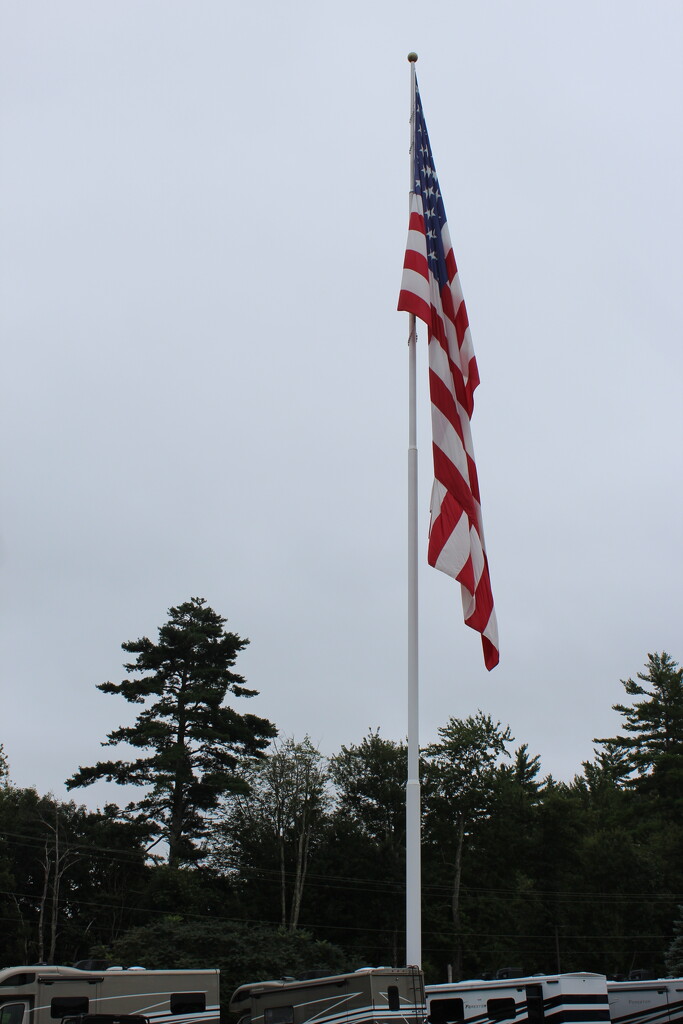 Huge American Flag by huger