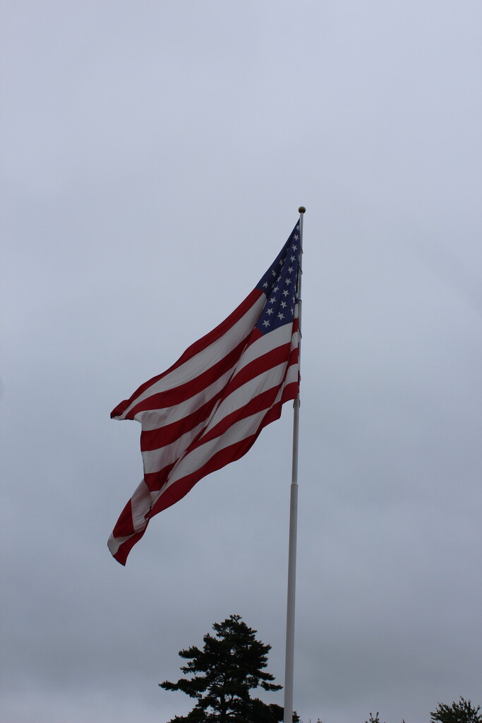 Huge American Flag by huger