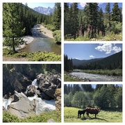 19th Aug 2024 - Crowsnest Pass Area