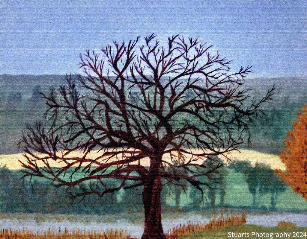 Tree in focus (painting) by stuart46