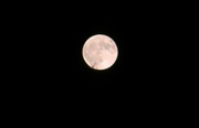 19th Aug 2024 - Supermoon 