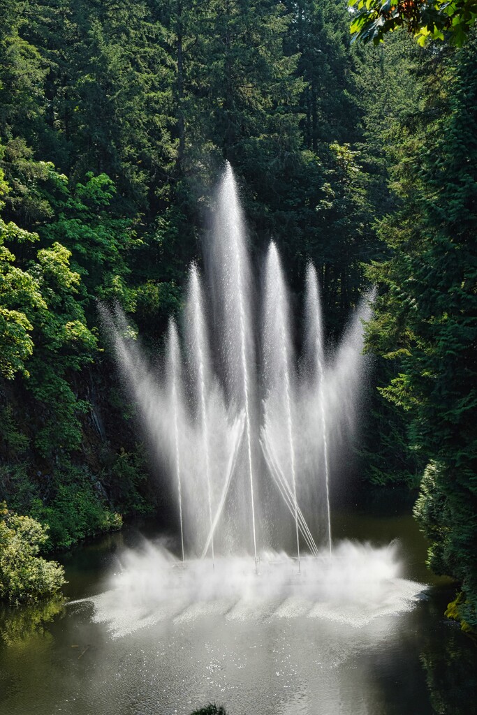 8 9 Ross Fountain  by sandlily