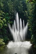 9th Aug 2024 - 8 9 Ross Fountain 