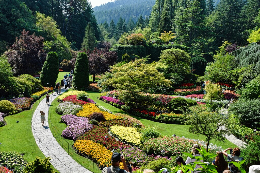 8 9 View of the Sunken Garden by sandlily