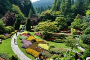 9th Aug 2024 - 8 9 View of the Sunken Garden