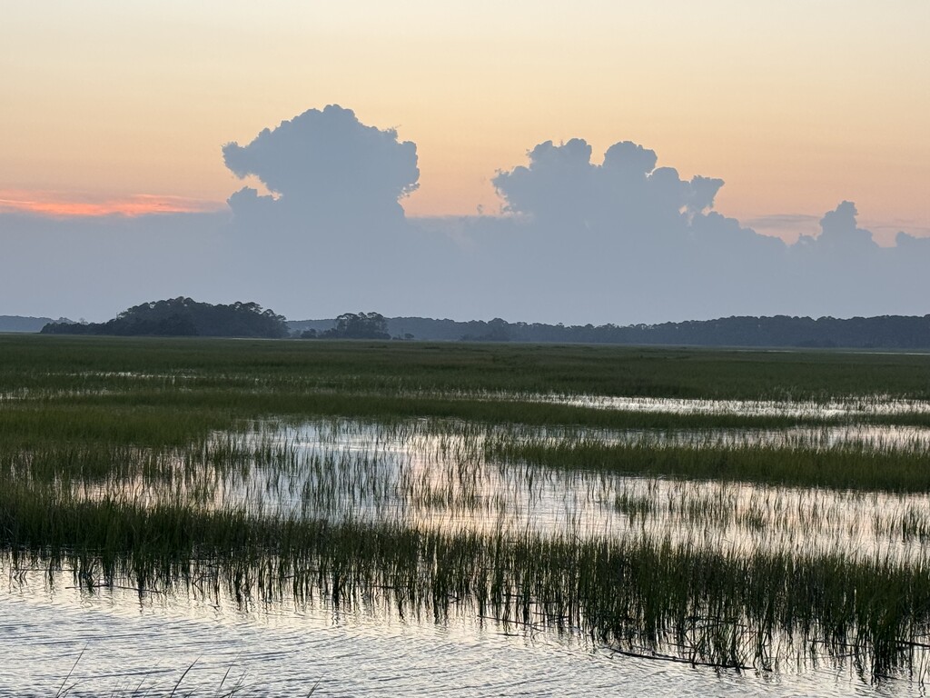 Marsh sunset 2 by congaree