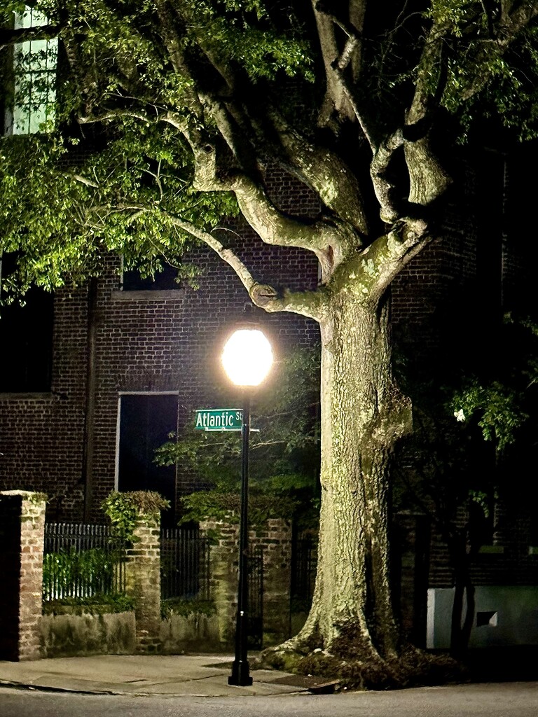 Charleston night scene by congaree