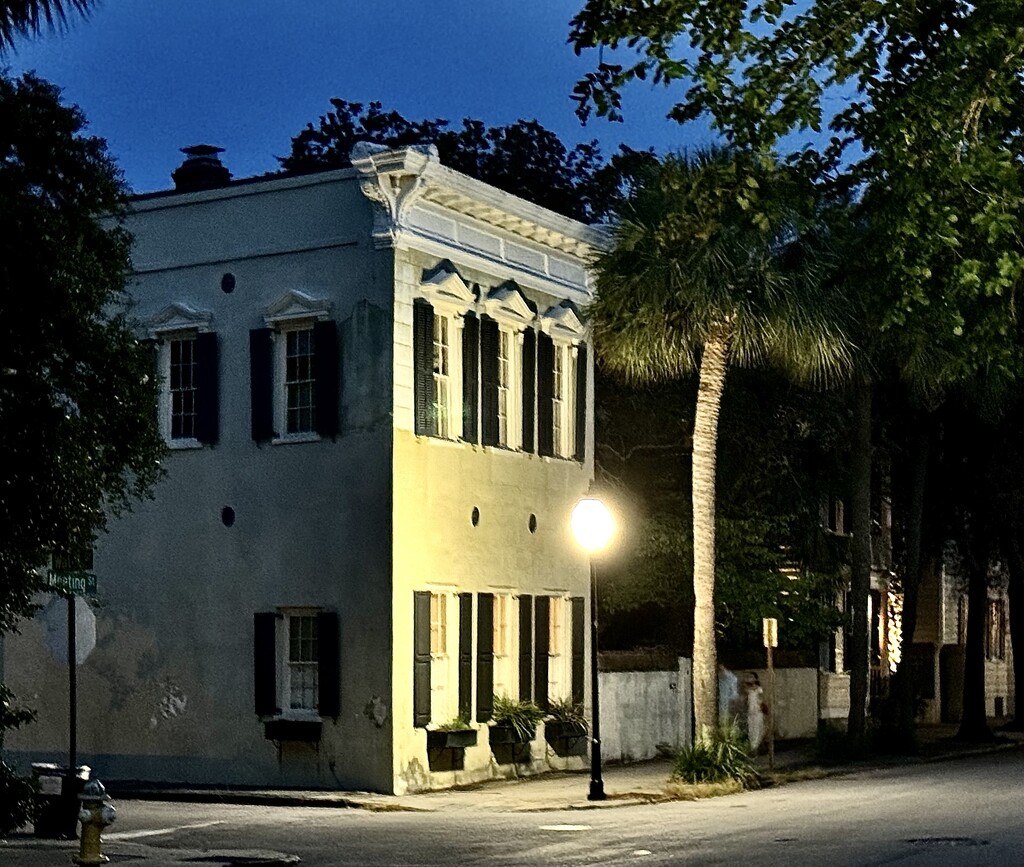 Charleston night scene by congaree