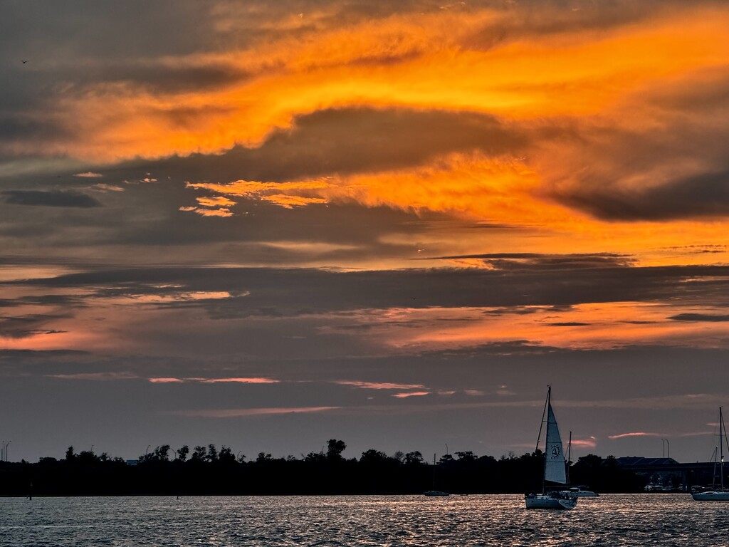 Ashley River sunset by congaree