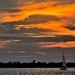 Ashley River sunset by congaree