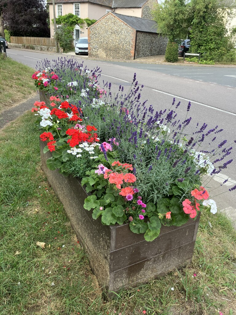 Moulton Flowers  by g3xbm