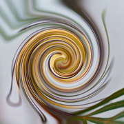 20th Aug 2024 - Abstract 20 -Twirl