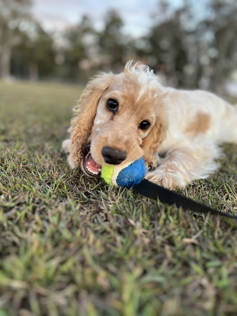 My precious boy  by sarahabrahamse