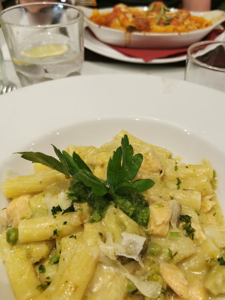 Rigatoni A Salmone  by plainjaneandnononsense