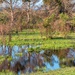 Another wet field by ludwigsdiana