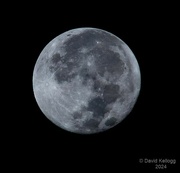 20th Aug 2024 - Sturgeon Moon