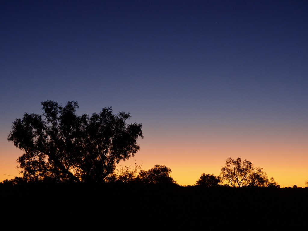 A Glorious Outback Sunset P8193301 by merrelyn