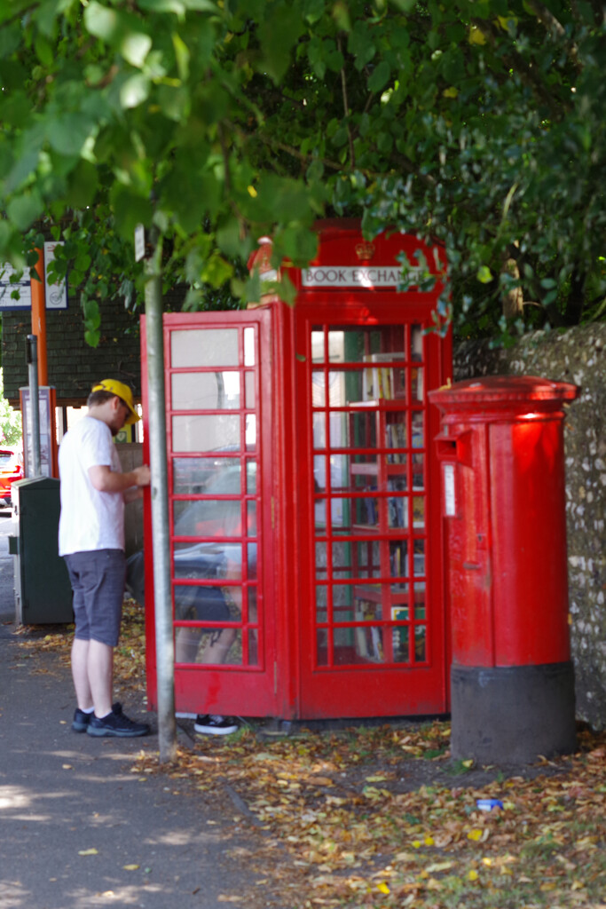 Bustop, Postbox and Book Exchange by thedarkroom