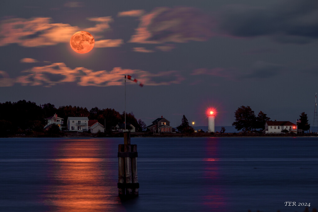 Moonrise Over Paradise Bay by taffy