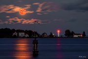 20th Aug 2024 - Moonrise Over Paradise Bay