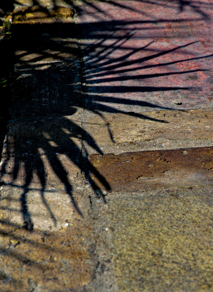 Afternoon shadows by tiaj1402