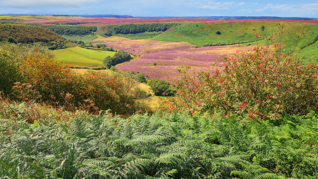 Hole of Horcum, North York Moors by neil_ge