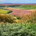 Hole of Horcum, North York Moors by neil_ge