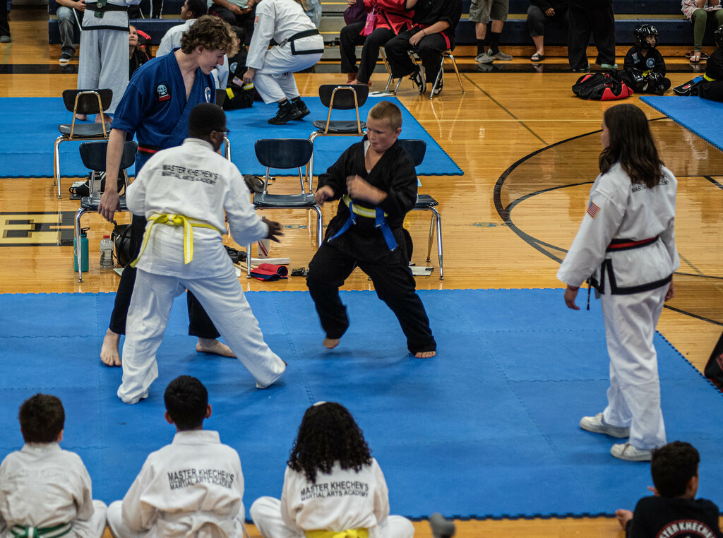 Flag Sparring by darchibald