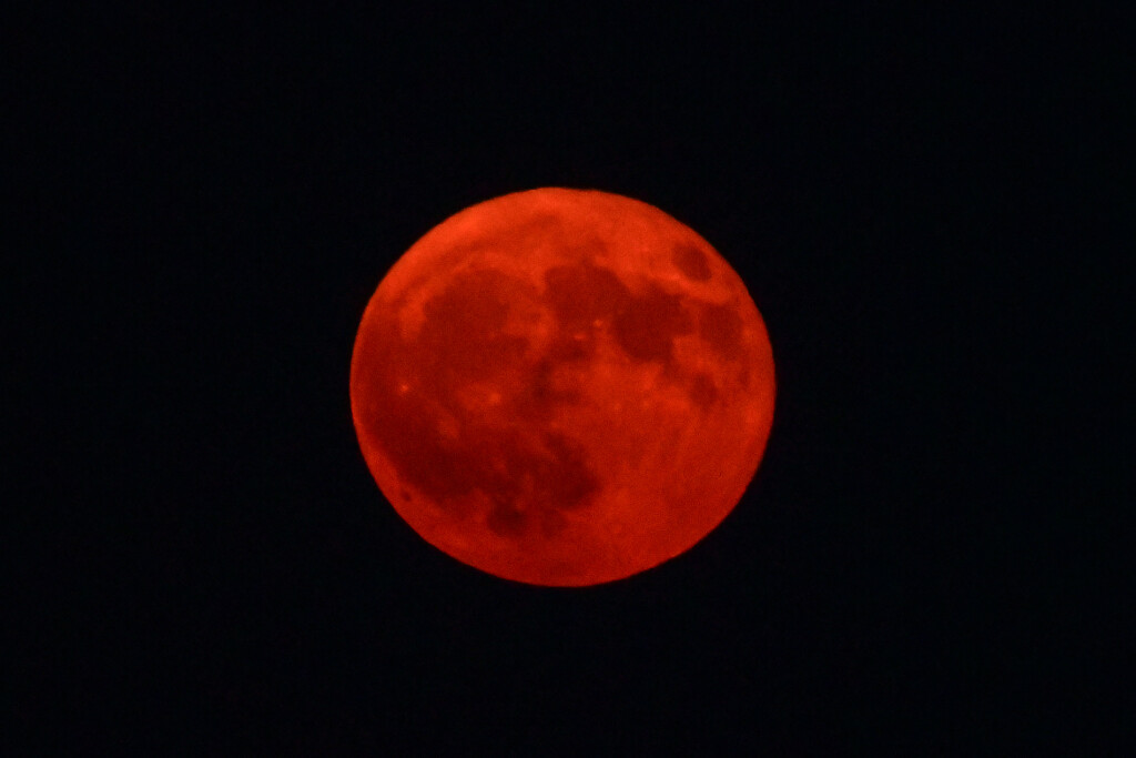 The Red Super Blue Moon by kareenking