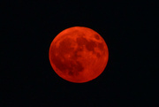 19th Aug 2024 - The Red Super Blue Moon