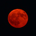 The Red Super Blue Moon by kareenking