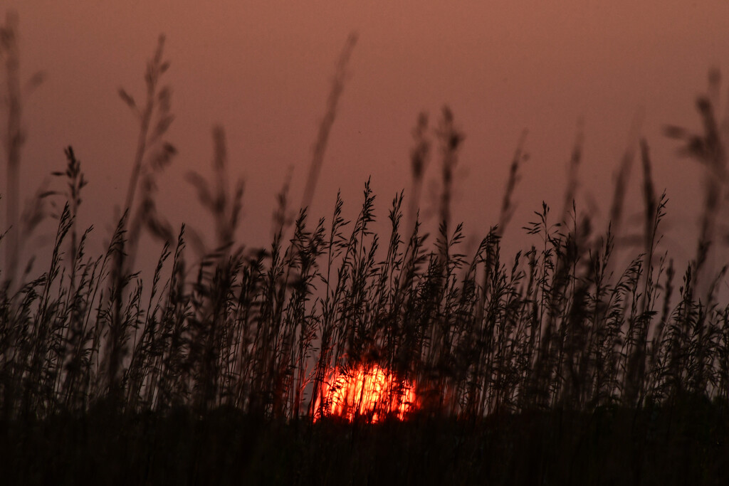 Kansas Sunrise 8-20-24 by kareenking