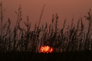 20th Aug 2024 - Kansas Sunrise 8-20-24