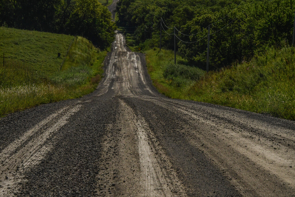 This Would Make a Nice Hill for Sledding by kareenking