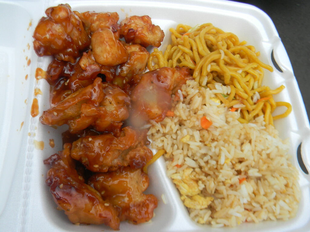 Sesame Chicken Plate  by sfeldphotos