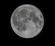 21st Aug 2024 - First Blue Moon Capture: A Striking Lunar Portrait