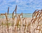 20th Aug 2024 - shoreline, Lake Huron