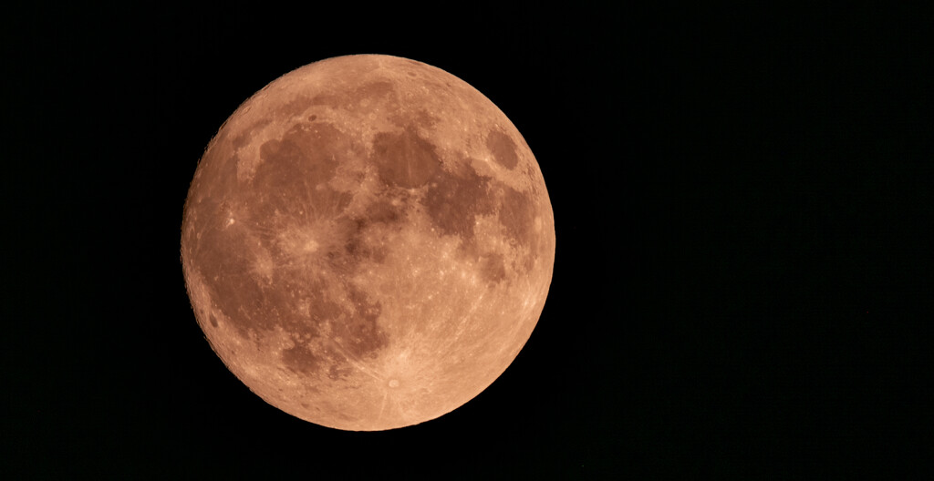 Full Moon From the Other Night! by rickster549